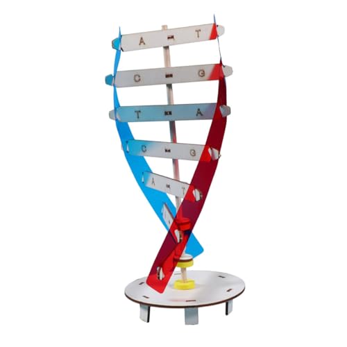 Beaupretty DIY DNA Doppelhelix Holzspielzeug Lehrmittel für Interaktives Lernspielzeug für Kreatives Montageset Naturwissenschaften und Kritischen Denkens von Beaupretty