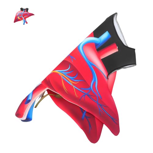 Beaupretty Halloween Herz Kostüm aus Weichem Schwamm Bequemes Körperorgan Cosplay für Bühne Party und Rollenspiel Edukatives Lustiges Outfit für Einfach zu Reinigen Beaupretty Halloween Herz Kostüm aus Weichem Schwamm Bequemes Körperorgan Cosplay für Bühne Party und Rollenspiel Edukatives Lustiges Outfit für Einfach zu Reinigen von Beaupretty