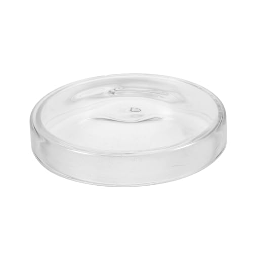 Beaupretty Hochborosilikat Glas Petrischale Transparent Bodendesign Stabile Zellkultur Laborbedarf Praktisch Für Schul Wissenschaftliche Experimente von Beaupretty
