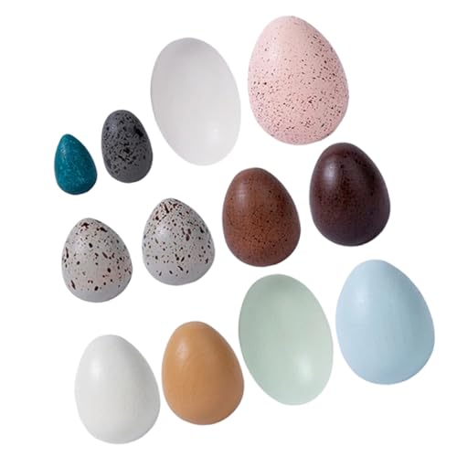 Beaupretty Holz Eier für Realistische Dekorative Holz Eier aus Premium Naturgetreu Geformt Vielseitig als Deko und Lernspielzeug für Drinnen und Draußen Geeignet von Beaupretty