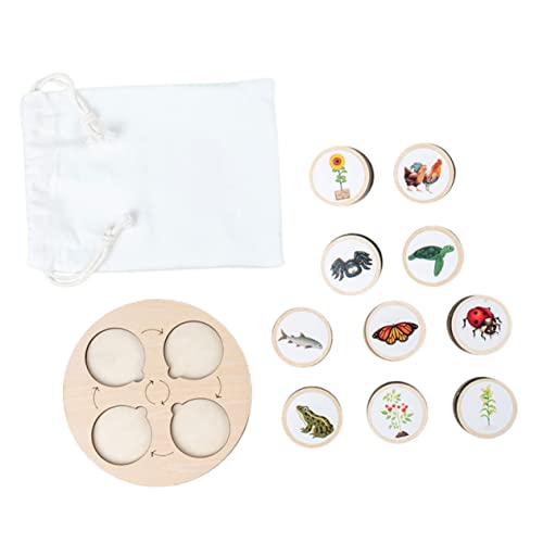 Beaupretty Holz Lebenszyklus Modellspielzeug für Tier und Pflanzenfiguren Pädagogisches Wachstumszyklus Puzzle Langlebig Sicher für Frühe Bildung und Eltern Junge Mädchen Interaktion von Beaupretty