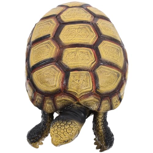 Beaupretty Kognitive Schildkröte Modell aus Kunststoff Realistisches Tiermodell für Lernspielzeug Tierkenntnisse Geschenkoption für Kleine von Beaupretty