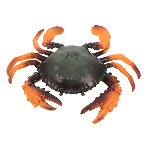Beaupretty Kreatives Künstliches Krabbenmodell Realistische Simulation Meerestiere Strandspielzeug Fördert Motorische Fähigkeiten und Lernen für Junge Mädchen und Kleinkinder Beaupretty Kreatives Künstliches Krabbenmodell Realistische Simulation Meerestiere Strandspielzeug Fördert Motorische Fähigkeiten und Lernen für Junge Mädchen und Kleinkinder von Beaupretty