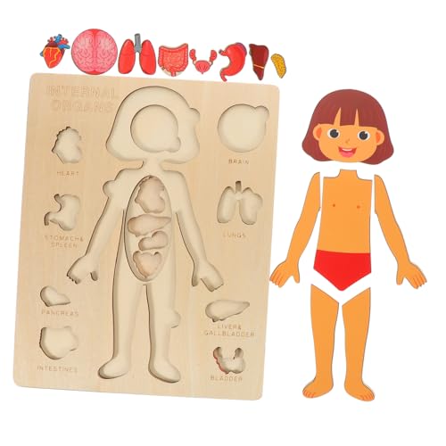 Beaupretty Kreatives Lernspielzeug für Holzpuzzle mit Menschlichen Organen Pädagogisches Kognitiven Fähigkeiten für Mädchen Ab Jahren Beaupretty Kreatives Lernspielzeug für Holzpuzzle mit Menschlichen Organen Pädagogisches Kognitiven Fähigkeiten für Mädchen Ab Jahren von Beaupretty