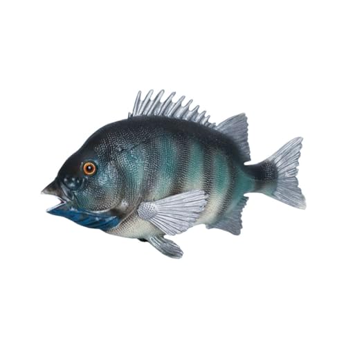Beaupretty Künstliches Fischmodell aus Kunststoff Realistische Dekoration für Aquarium und Farbiges für Frühe Bildung und Wissenschaftliche Erkenntnisse für Kleine Meeresliebhaber Beaupretty Künstliches Fischmodell aus Kunststoff Realistische Dekoration für Aquarium und Farbiges für Frühe Bildung und Wissenschaftliche Erkenntnisse für Kleine Meeresliebhaber von Beaupretty