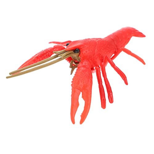 Beaupretty Lebensechtes Krebsmodell Kreative Deko Figur für Kinderparty und Wohnzimmertisch Detailgetreues Rotes Hummermodell als Foto Requisite und Sammelobjekt Beaupretty Lebensechtes Krebsmodell Kreative Deko Figur für Kinderparty und Wohnzimmertisch Detailgetreues Rotes Hummermodell als Foto Requisite und Sammelobjekt von Beaupretty