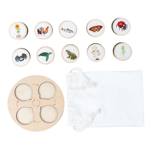 Beaupretty Lebenszyklus Tierfiguren mit Wachstumszyklus Simulation Pädagogisches Kognitives für Tragbares Lernmodell Nutztiere Realistische Details für Eltern Junge Mädchen Interaktion von Beaupretty