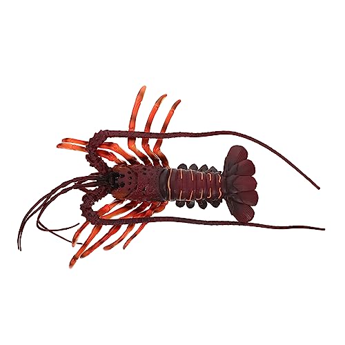 Beaupretty Lobster Modell aus Hochwertigem Kunststoff Detailgetreues Tiermodell für Pädagogisches und Dekoratives Meeres Ornament Realistische Languste für Haus und Spiel von Beaupretty