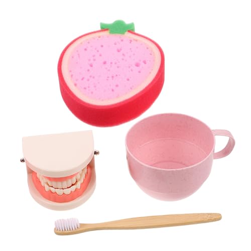 Beaupretty Montessori Zahnarztspielzeug Set für Kleinkinder mit Zahnmodell Kindersicheres Lernspielzeug zur Frühkindlichen Zahnpflege und Kognitiven Entwicklung Pädagogisches Babyspielzeug von Beaupretty