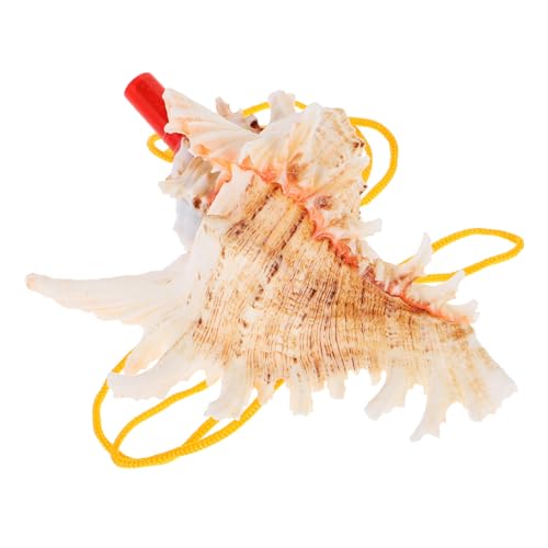 Beaupretty Muschel Dekoration Meeresschnecke Horn Klarer Klang Musikinstrument für Dekoratives Strandspielzeug Einfach zu Bedienen Geeignet für Urlaub und Party Beaupretty Muschel Dekoration Meeresschnecke Horn Klarer Klang Musikinstrument für Dekoratives Strandspielzeug Einfach zu Bedienen Geeignet für Urlaub und Party von Beaupretty