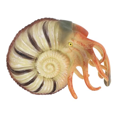 Beaupretty Nautilus Modell aus Realistische Meeresbewohner Figur Pädagogisches Tiermodell für Umwelterziehung Naturgetreues Tierornament von Beaupretty