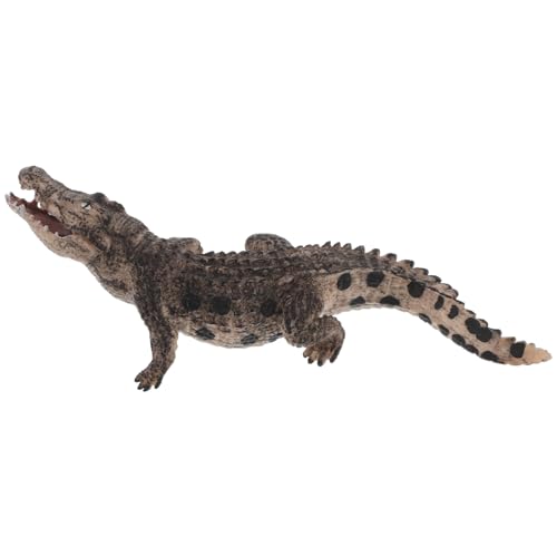 Beaupretty Realistische Alligator Figur mit Beweglichem Lernspielzeug für Pädagogisches Alligatorspielzeug Beobachtungsfähigkeiten und Hand Auge Koordination von Beaupretty