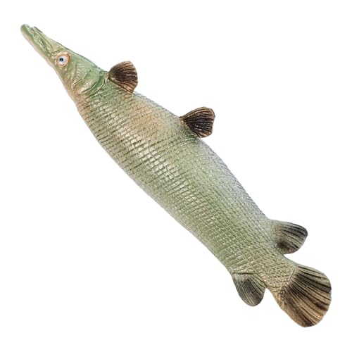 Beaupretty Realistische Atractosteus Spatula Fischfigur aus Kunststoff Pädagogisches Kinderspielzeug mit Glatten Kanten Sicher für Junge Forscher Dekoratives Aquarium Ornament und Lernhilfe von Beaupretty