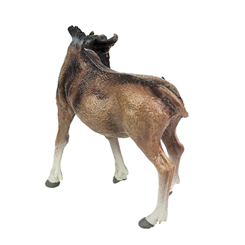 Beaupretty Figur für Kinder Realistisches Simuliertes Modell Langlebiges Tierdekor für Zuhause Pädagogisches Spielzeug für Kinder Dekorative Tierstatue von Beaupretty