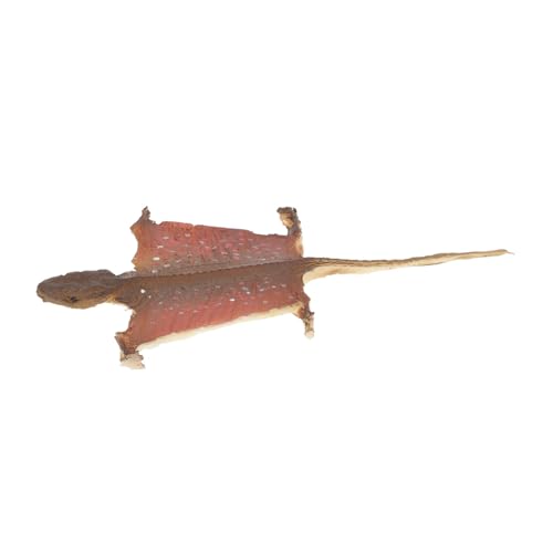 Beaupretty Realistische Gecko Figurine Halloween Dekoration aus Kunststoff Kompaktes Reptilienmodell für Garten und Innenbereich Detailgetreues Gecko Modell als Grusel-deko und Scherzartikel Beaupretty Realistische Gecko Figurine Halloween Dekoration aus Kunststoff Kompaktes Reptilienmodell für Garten und Innenbereich Detailgetreues Gecko Modell als Grusel-deko und Scherzartikel von Beaupretty
