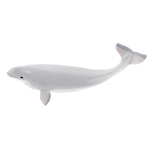 Beaupretty Realistische Wal Figur aus Hochwertigem Kleines Meerestier Modell für Kinderzimmerdekoration Pädagogisches und Deko Objekt für Jungen und Mädchen Beaupretty Realistische Wal Figur aus Hochwertigem Kleines Meerestier Modell für Kinderzimmerdekoration Pädagogisches und Deko Objekt für Jungen und Mädchen von Beaupretty