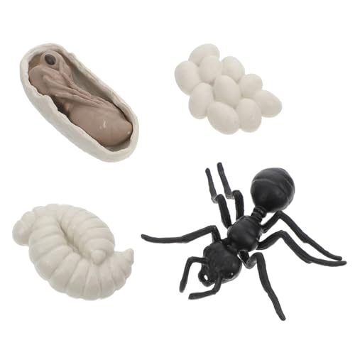 Beaupretty Realistisches Ameisen lebenszyklus Modell Pädagogisches Tier zur Kognitiven Frühförderung Naturgetreue Arbeiterameisen Figuren Langlebig und Detailreich Beaupretty Realistisches Ameisen lebenszyklus Modell Pädagogisches Tier zur Kognitiven Frühförderung Naturgetreue Arbeiterameisen Figuren Langlebig und Detailreich von Beaupretty