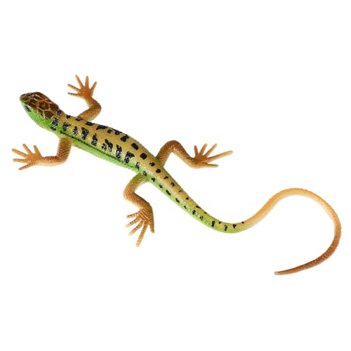 Beaupretty Realistisches Eidechsenmodell Kunststoff Figur Pädagogisch Detailgetreu Grün Simulations Reptil Taschenformat von Beaupretty
