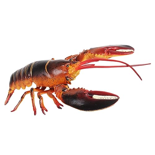 Beaupretty Realistisches Hummermodell Großes Künstliches Hummer Dekorationsspielzeug Bildungsmodell für Aquarien oder Garten Dekoration Beaupretty Realistisches Hummermodell Großes Künstliches Hummer Dekorationsspielzeug Bildungsmodell für Aquarien oder Garten Dekoration von Beaupretty