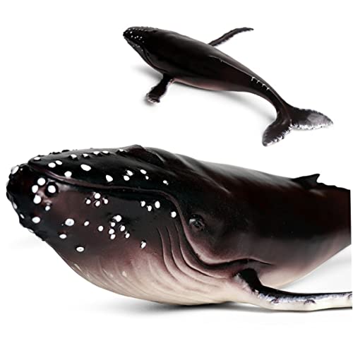 Beaupretty Realistisches Humpback Wal Modell aus Hochwertigem Kunststoff Lebensechte Meeresfigur als Dekoratives für Sammler Home Office und Kreative Deko von Beaupretty