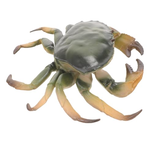 Beaupretty Realistisches Krabbenmodell Simulation Kunstkrabbe Aquarium Deko Tischdeko Leicht Kompakt Pädagogisches Meerestiere Figuren von Beaupretty