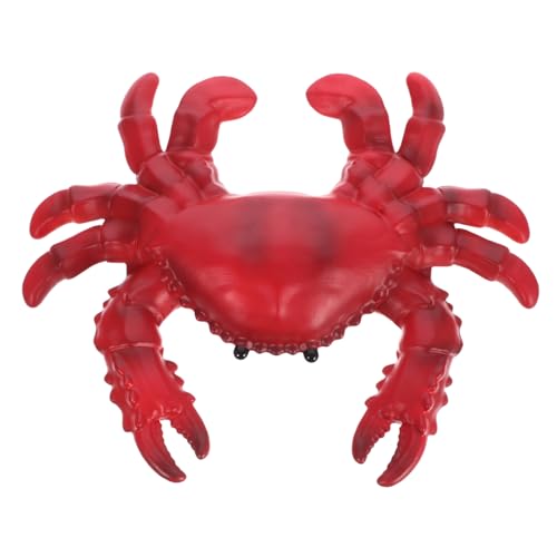 Beaupretty Realistisches Krabbenmodell Simulation Weiches Kunststoffspielzeug Lebensechte Meeresfigur Pädagogisches Lernspielzeug Für Kinderzimmer Garten Dekoration Beaupretty Realistisches Krabbenmodell Simulation Weiches Kunststoffspielzeug Lebensechte Meeresfigur Pädagogisches Lernspielzeug Für Kinderzimmer Garten Dekoration von Beaupretty