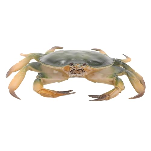 Beaupretty Realistisches Krabbenmodell für Aquarium Tischdeko Naturgetreue Simulation Meerestiere Figur Pädagogisches Lernspielzeug für Wohnraumdekoration von Beaupretty