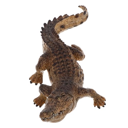 Beaupretty Realistisches Krokodil Modell Spielfigur Miniatur Tier Lernspielzeug für Vorschule und Dekoration Standfest und Detailgetreu Geeignet für Fantasievolles und DIY Szenen von Beaupretty