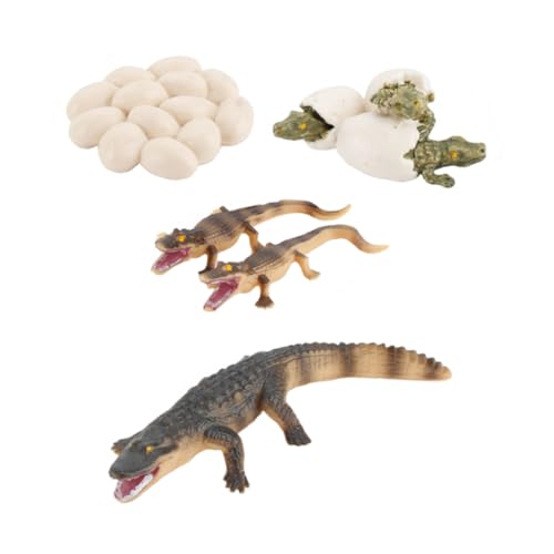Beaupretty Realistisches Krokodil Wachstumsmodell Tier für Pädagogisch Langlebig Sicher Kunststoff Wildtiere für Jungen Mädchen Ab Jahren Beaupretty Realistisches Krokodil Wachstumsmodell Tier für Pädagogisch Langlebig Sicher Kunststoff Wildtiere für Jungen Mädchen Ab Jahren von Beaupretty