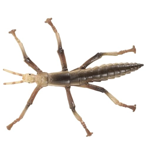 Beaupretty Realistisches Kunststoff Stab Insekt für Langlebiges Lernspielzeug mit Detailgetreuer Wildtieroptik Pädagogisches Kreativspielzeug für Kinderzimmerdekoration von Beaupretty