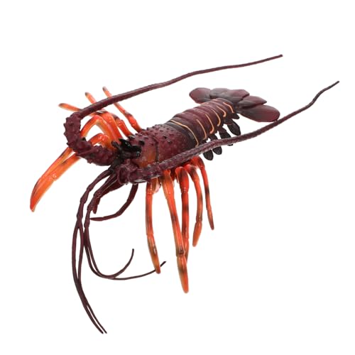 Beaupretty Realistisches Lobster Modell Kunststoff Deko Simuliertes Tier Lernspielzeug für Naturwissenschaftliche Bildung Mitgebsel Kindergeburtstag Jungen Mädchen Beaupretty Realistisches Lobster Modell Kunststoff Deko Simuliertes Tier Lernspielzeug für Naturwissenschaftliche Bildung Mitgebsel Kindergeburtstag Jungen Mädchen von Beaupretty