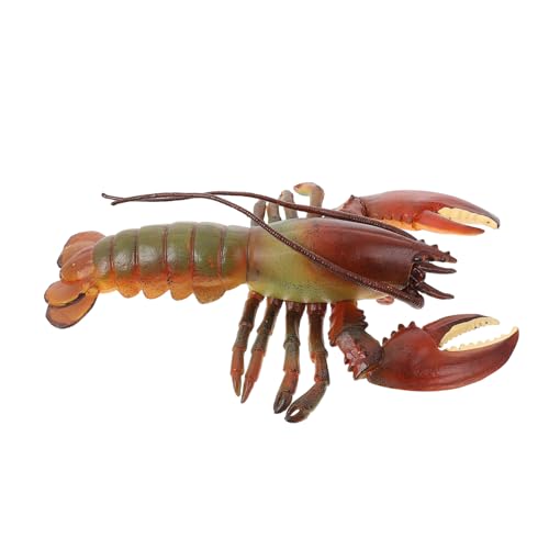 Beaupretty Realistisches Meerestier Modell Solider Amerikanischer Hummer Meerestiere Figur Kinderspielzeug Dekoration für Zuhause Büro Restaurant von Beaupretty