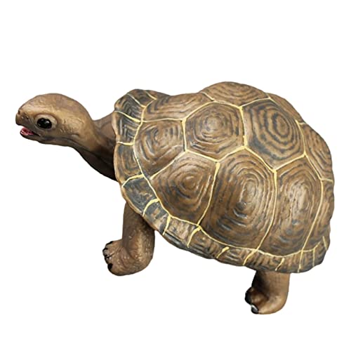 Beaupretty Realistisches Plastik Schildkrötenmodell PVC Tortoise Ornament Schreibtisch Deko Lernspielzeug für Tiermodell Garten Dekofigur Langlebig und Farbenfroh von Beaupretty
