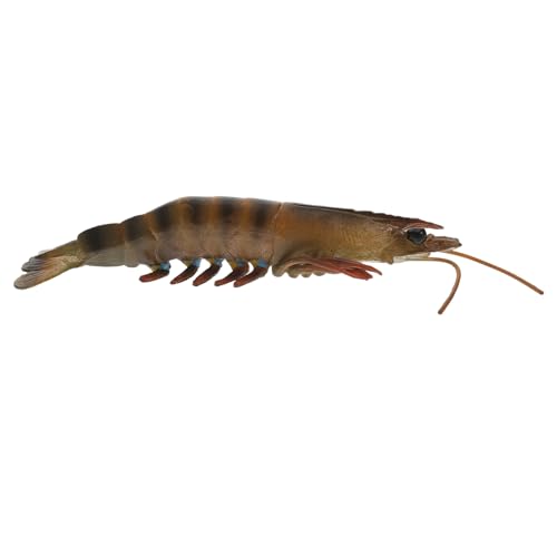 Beaupretty Realistisches Shrimp Kunststoff Figur für Pädagogisches Meerestier Modell Lustige Garnelen Figur für Kreatives und Wohnraumdekoration Beaupretty Realistisches Shrimp Kunststoff Figur für Pädagogisches Meerestier Modell Lustige Garnelen Figur für Kreatives und Wohnraumdekoration von Beaupretty