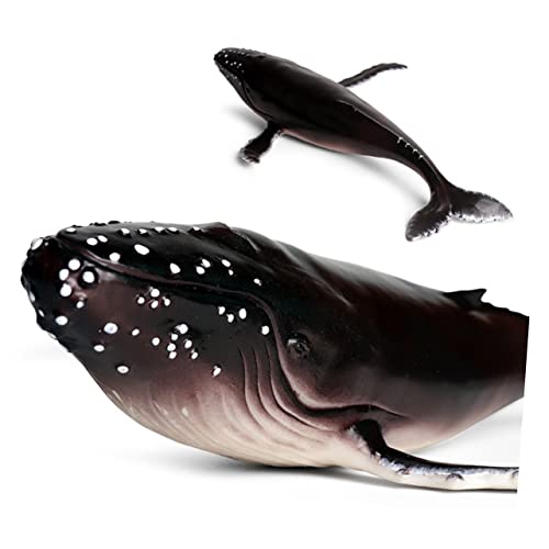 Beaupretty Realistisches Sitzrückenwal Modell aus Hochwertigem Kunststoff Lebensspielzeug Dekoratives Sammlerobjekt für Zuhause Büro und Aquarium Zubehör Kreative Meereswelt Figur Beaupretty Realistisches Sitzrückenwal Modell aus Hochwertigem Kunststoff Lebensspielzeug Dekoratives Sammlerobjekt für Zuhause Büro und Aquarium Zubehör Kreative Meereswelt Figur von Beaupretty