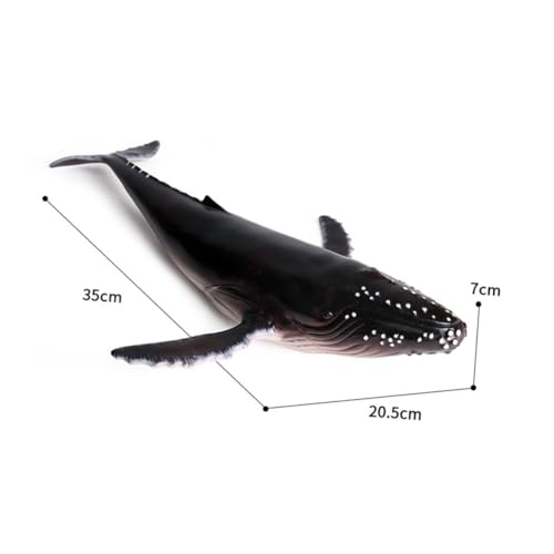 Beaupretty Realistisches Walmodell aus Hochwertigem Kunststoff Dekoratives Meereslebewesen für Pädagogisches Figurenspielzeug Stilvolle Humpback Whale Deko für Zuhause und Büro Beaupretty Realistisches Walmodell aus Hochwertigem Kunststoff Dekoratives Meereslebewesen für Pädagogisches Figurenspielzeug Stilvolle Humpback Whale Deko für Zuhause und Büro von Beaupretty