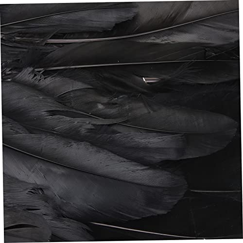 Beaupretty Schwarze Engelsflügel Kinderkostüm Federflügel Bühnenrequisit für Halloween Karneval Cosplay Party Kleine von Beaupretty