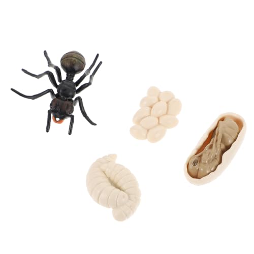 Beaupretty Simulation Ameisen Wachstumszyklus Modell aus Pädagogisches Insekten Lernspielzeug für Realistische Nachbildung Kognitiven Entwicklung und Biologischen Bildung Beaupretty Simulation Ameisen Wachstumszyklus Modell aus Pädagogisches Insekten Lernspielzeug für Realistische Nachbildung Kognitiven Entwicklung und Biologischen Bildung von Beaupretty