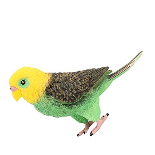 Beaupretty Simulation Budgerigar Modell Lebensnahe Statuette aus Hochwertigem Kunststoff für Dekoration oder Lernspielzeug Kompakte und Bruchsicher von Beaupretty