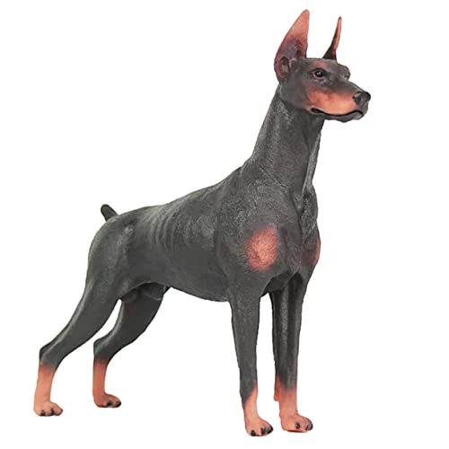 Beaupretty Simulation Hund Figurine Dekoration Dobermann Modell Tierstatue für Heimdekoration Realistisch Leicht aus Robustem als Kinderspielzeug für Kreative Rollenspiele von Beaupretty