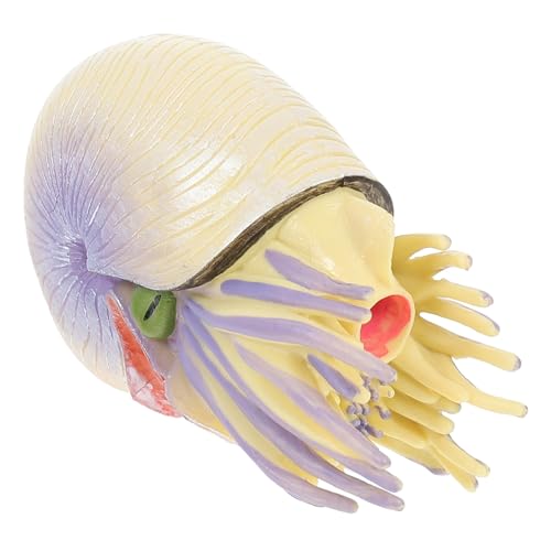 Beaupretty Simulation Nautilus Modell Lernspielzeug Naturgetreu Kompaktes Meeres dekor für Zuhause Pädagogisches Tiermodell Kreativität und Vorstellungskraft von Beaupretty