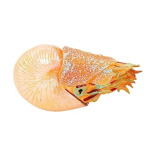 Beaupretty Simulation Nautilus Modell Realistische Plastik Nautilus Statue für Meereslebewesen Dekoration für Aquarien Lernspielzeug für Zuhause von Beaupretty