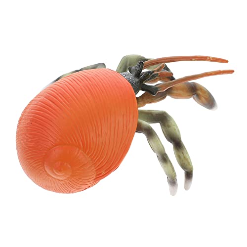 Beaupretty Simulation Pagurian Krebs Modellfigur Realistisches Tiermodell aus Kunststoff Lernspielzeug für Kreative Dekoration für Zuhause oder Büro von Beaupretty