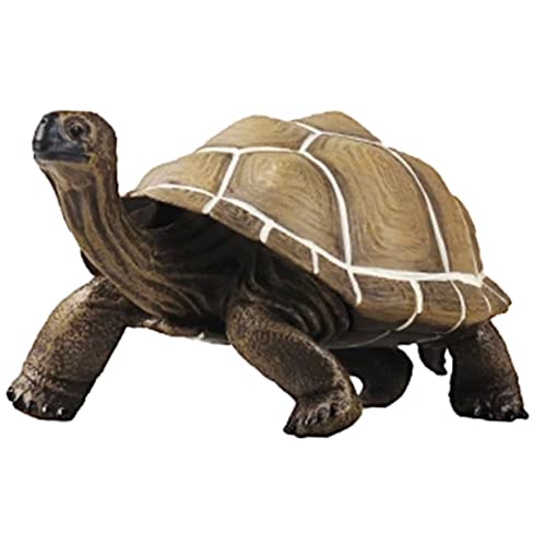 Beaupretty Simulation Schildkrötenmodell aus Hochwertigem Plastik Lebensechte Figur für Dekoration für Schreibtisch und Wohnaccessoires Fördert Tierische und Kreativität für Tier von Beaupretty