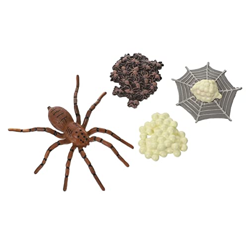 Beaupretty Simulation des Wachstumszyklus Spinne Modellfiguren für Bildung und Dekoration für Vorschule und Rollenspiele Beaupretty Simulation des Wachstumszyklus Spinne Modellfiguren für Bildung und Dekoration für Vorschule und Rollenspiele von Beaupretty
