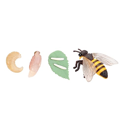 Beaupretty Simulations Tierornamente Material Langlebig Kreative Insekten Lebenszyklus Modell Bienenwachstums Dekoration Lehrspielzeug für Naturerlebnis Wohn und Hoteldekoration Beaupretty Simulations Tierornamente Material Langlebig Kreative Insekten Lebenszyklus Modell Bienenwachstums Dekoration Lehrspielzeug für Naturerlebnis Wohn und Hoteldekoration von Beaupretty