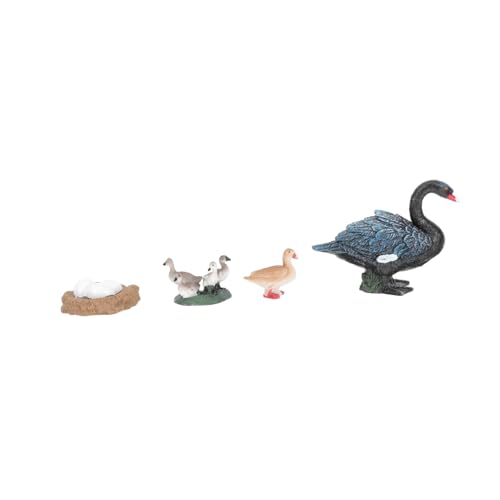 Beaupretty Swan Lebenszyklus Modellspielzeug aus Sicherem Kunststoff Detailreiche Wachstumszyklus Figuren Pädagogisches für Anschauliche Naturerfahrung Lernspielzeug für Junge Mädchen Beaupretty Swan Lebenszyklus Modellspielzeug aus Sicherem Kunststoff Detailreiche Wachstumszyklus Figuren Pädagogisches für Anschauliche Naturerfahrung Lernspielzeug für Junge Mädchen von Beaupretty