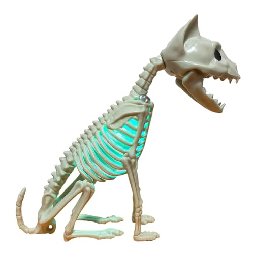 Begchy Halloween-Katzenstatue, Skelett-Ornament-Modell mit ästhetischem Licht, Bürohandwerk, Tierstatue für Schrank, Bibliothek Begchy Halloween-Katzenstatue, Skelett-Ornament-Modell mit ästhetischem Licht, Bürohandwerk, Tierstatue für Schrank, Bibliothek von Begchy