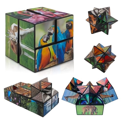 2-in-1 Sternenwürfel Zauberwürfel Set, Infinity Cube, Magic Cube, Premium Anti-Stress Spielzeug für Kinder & Erwachsene | Kreatives Lernspielzeug & Entspannungswürfel Geschenkidee 2-in-1 Sternenwürfel Zauberwürfel Set, Infinity Cube, Magic Cube, Premium Anti-Stress Spielzeug für Kinder & Erwachsene | Kreatives Lernspielzeug & Entspannungswürfel Geschenkidee von Beibeijia