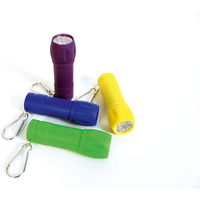 BELEDUC 53180 Entdecker LED-Licht, sortiert von Beleduc